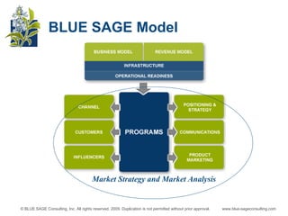 BLUE SAGE Model Market Strategy and Market Analysis 
