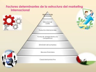 Mentalidad de 
la empresa 
Estructura de 
costes 
Productos internacionales 
Puntos de ventajas frente a la 
competencia 
Dimensión de la empresa 
Recursos financieros 
Capacidad productiva 
 