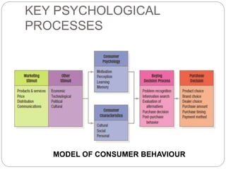 KEY PSYCHOLOGICAL
PROCESSES
MODEL OF CONSUMER BEHAVIOUR
 