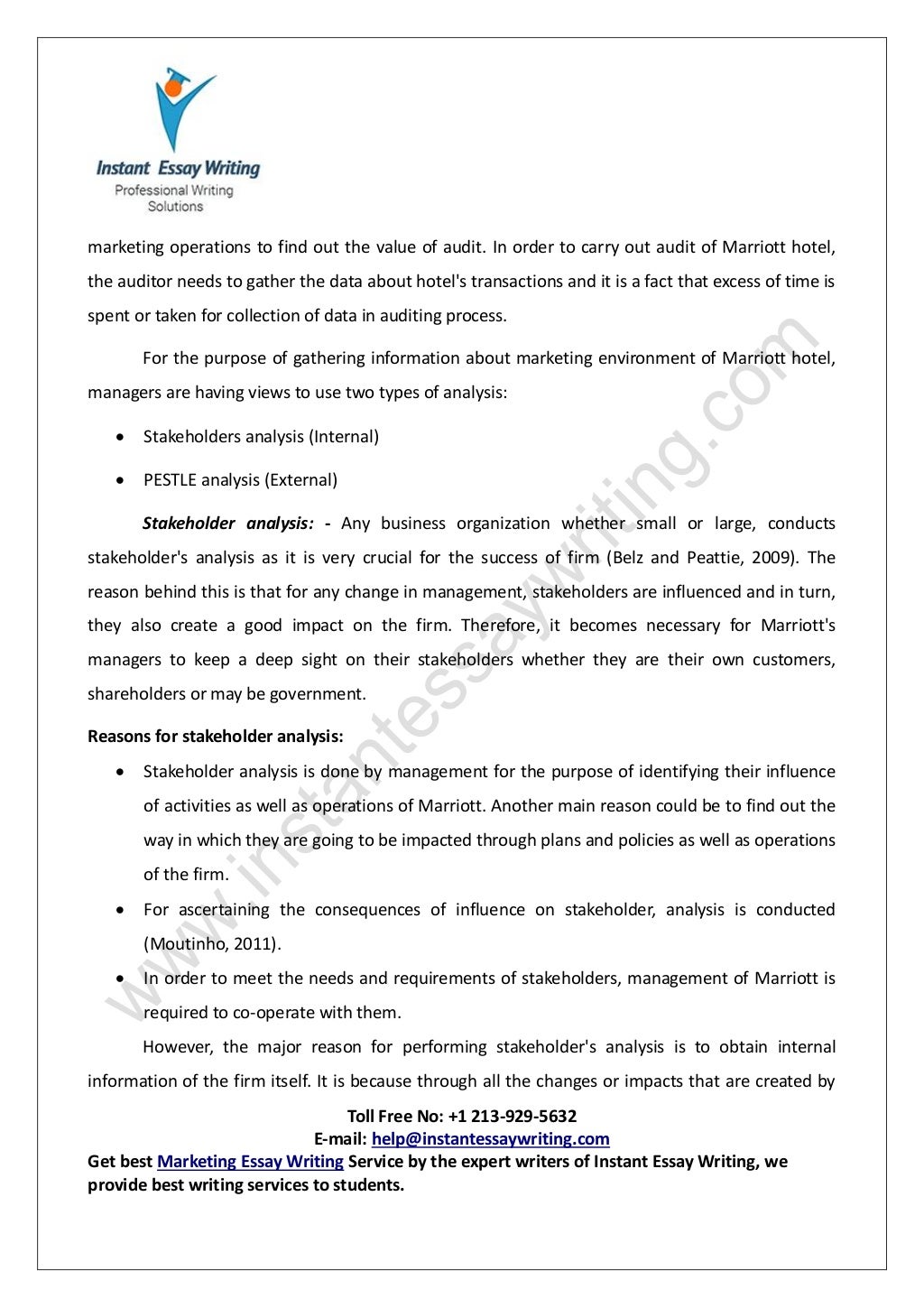 Essay writer online image