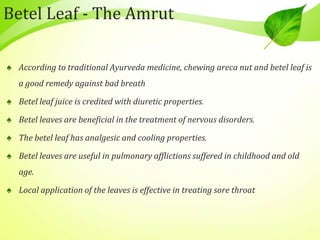 Betel Leaf - The Amrut
♠ According to traditional Ayurveda medicine, chewing areca nut and betel leaf is
a good remedy against bad breath
♠ Betel leaf juice is credited with diuretic properties.
♠ Betel leaves are beneficial in the treatment of nervous disorders.
♠ The betel leaf has analgesic and cooling properties.
♠ Betel leaves are useful in pulmonary afflictions suffered in childhood and old
age.
♠ Local application of the leaves is effective in treating sore throat
 