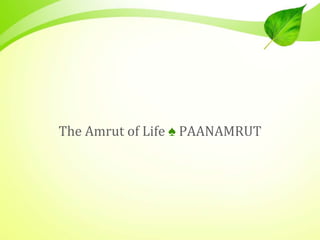 The Amrut of Life ♠ PAANAMRUT
 
