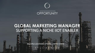 __________
OPPORTUNITY
GLOBAL MARKETING MANAGER
SUPPORTING A NICHE IIOT ENABLER
MULTIPLE LOCATIONS OPTIONS, UNITED STATES
 