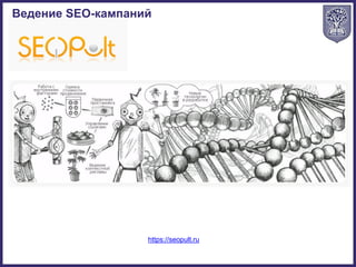 Ведение SEO-кампаний
https://seopult.ru
 