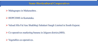 Some Horticultural Cooperatives
 Mahagrapes in Maharashtra .
 HOPCOMS in Karnataka.
 Valsad Jilla Fal Ane Shakbhaji Sahakari Sangh Limited in South Gujarat.
 Co-operatives marketing banana in Jalgaon district,(MH).
 Vegetables co-operatives.
 