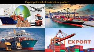 Export potential of horticulture produce
 