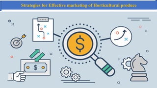 Strategies for Effective marketing of Horticultural produce
 