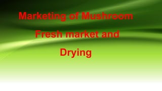 Marketing of Mushroom
Fresh market and
Drying
 