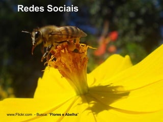 Cauda longa para BUSCAFoque nos NICHOS de palavras30