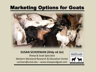 Marketing Options for Goats
SUSAN SCHOENIAN (Shāy nē ŭn)
Sheep & Goat Specialist
Western Maryland Research & Education Center
sschoen@umd.edu – www.sheepandgoat.com
 