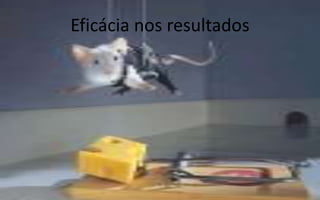 Eficácia nos resultados
 