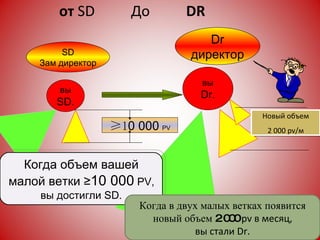 от  SD   До  DR вы SD . вы Dr. ≥ 1 0   000   PV SD Зам директор Новый объем 2 000   pv / м Dr директор Когда объем вашей малой ветки  ≥ 1 0   000   PV ,  вы достигли   S D. Когда в двух малых ветках появится новый объем 2 000   pv  в месяц,  вы стали  Dr . 