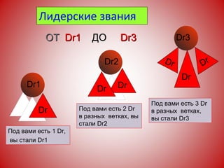 Лидерские звания  Dr Dr1 Под вами есть 1  Dr , вы стали  Dr 1 Dr2 Dr Dr3 Под вами есть 2  Dr  в разных  ветках, вы стали  Dr 2 Dr Dr Dr Dr ОТ  Dr 1  ДО   Dr 3 Под вами есть 3  Dr  в разных  ветках, вы стали  Dr 3 