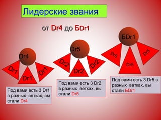 Лидерские звания  Dr4 Под вами есть 3  Dr 1 в разных  ветках, вы стали  Dr 4 Dr 1 Dr1 Dr 1 Dr5 Под вами есть 3  Dr 2 в разных  ветках, вы стали  Dr 5 Dr2 Dr2 Dr2 Б Dr1 Под вами есть 3  Dr 5 в разных  ветках, вы стали  Б D r 1 Dr5 Dr5 Dr5 от  Dr 4   до  Б Dr 1 