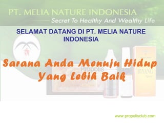 SELAMAT DATANG DI PT. MELIA NATURE INDONESIA Sarana Anda Menuju Hidup  Yang Lebih Baik www.propolisclub.com 