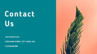 Contact
Us
www.website.com
12345 MAIN STREET, CITY 12345, USA
+1(123)4567890
 