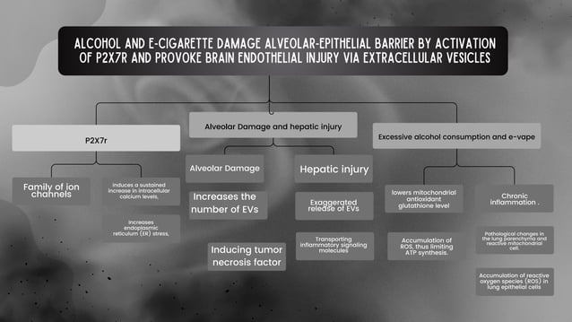 Texas Lowers Barrier For Food Stamps, But Many Still Won't Qualify