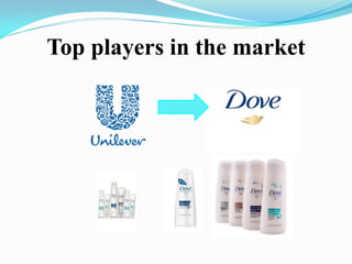 Top players in the market
 