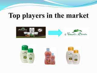 Top players in the market
 