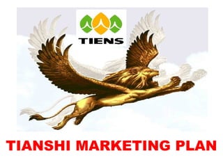 TIANSHI MARKETING PLAN
 
