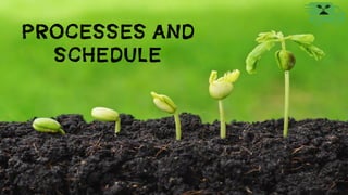 Processes and
schedule
 