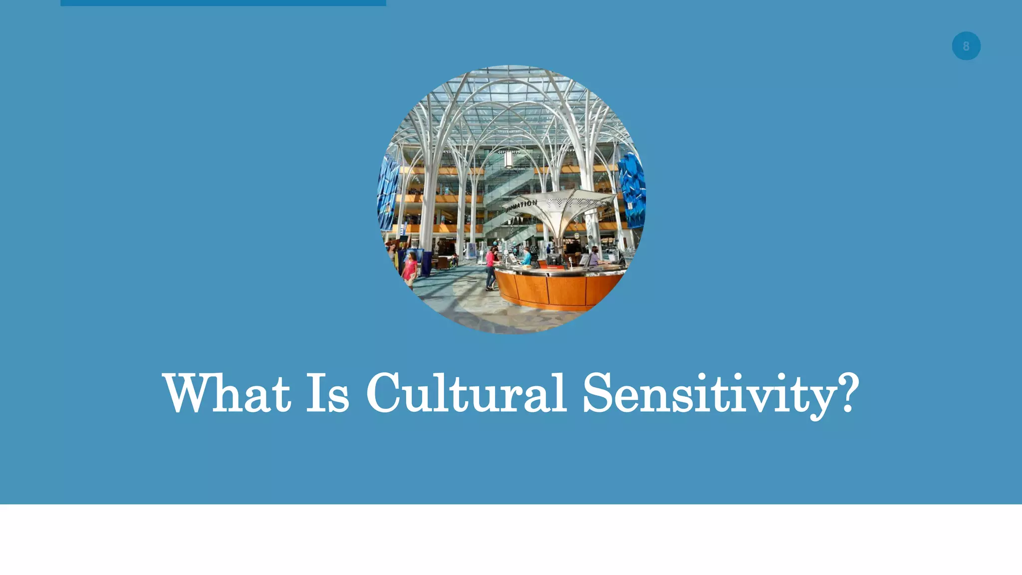 8
What Is Cultural Sensitivity?
 