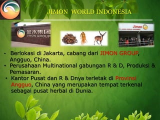 JIMON  WORLD INDONESIA Berlokasi di Jakarta,cabang dari JIMON GROUP,Angguo, China.  Perusahaan Multinationalgabungan R & D, Produksi &   Pemasaran.Kantor Pusat dan R & Dnya terletak di Provinsi    Angguo, China yangmerupakan tempat terkenal    sebagai pusat herbal di Dunia. 