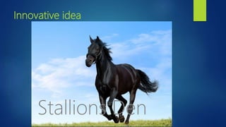 Innovative idea
Stallions Den
 