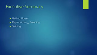 Executive Summary
 Getting Horses
 Reproduction__ Breeding
 Training
 