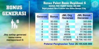 Marketing Plan Renner