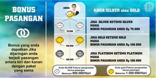 Marketing Plan Renner