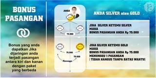 Marketing Plan Renner