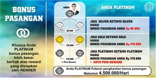 Marketing Plan Renner