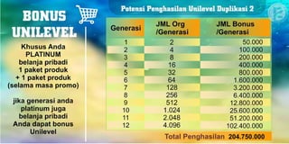 Marketing Plan Renner