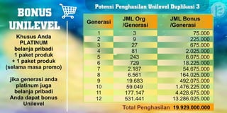 Marketing Plan Renner