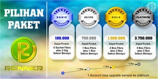 Marketing Plan Renner