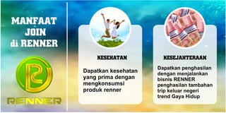 Marketing Plan Renner