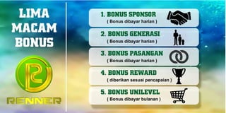 Marketing Plan Renner