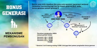 Marketing Plan Renner