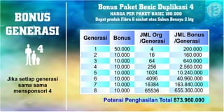 Marketing Plan Renner