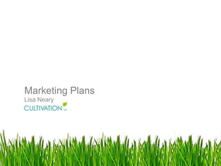Marketing Plans
Lisa Neary
 