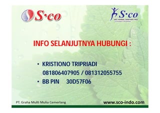 INFO SELANJUTNYA HUBUNGI :

 • KRISTIONO TRIPRIADI
   081806407905 / 081312055755
 • BB PIN 30D57F06
 
