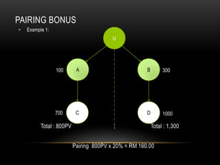 PAIRING BONUS
• Example 1:
Total : 800PV ; Total : 1,300
Pairing 800PV x 20% = RM 160.00
U
C
BA
D700
100 300
1000
 