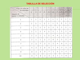 TABLILLA DE SELECCIÓN
 
