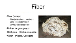 Fiber
• Wool (sheep)
• Fine | Crossbred | Medium |
Long (coarse) | Carpet
• White | Natural colored
• Mohair (Angora goats...