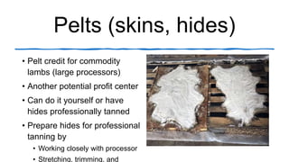 Pelts (skins, hides)
• Pelt credit for commodity
lambs (large processors)
• Another potential profit center
• Can do it yo...