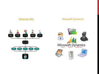 Microsoft Dynamics   Molecule RM   