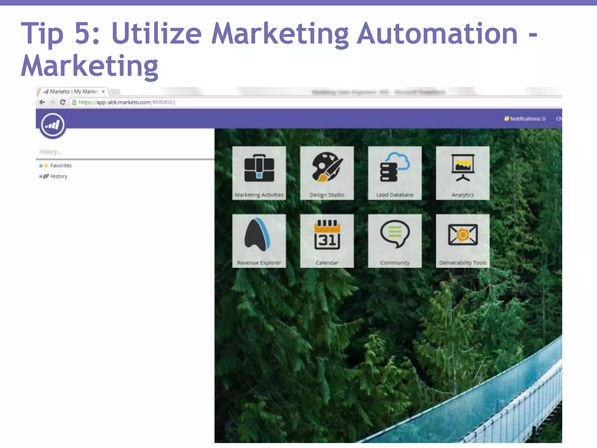 Tip 5: Utilize Marketing Automation -
Marketing
 