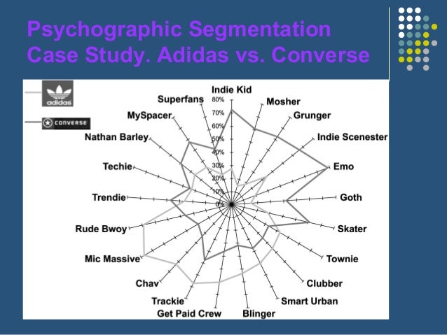 marketing segmentation psychographic segmentation