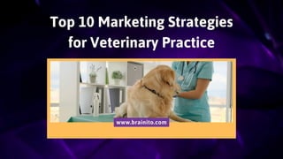 Top 10 Marketing Strategies
for Veterinary Practice
www.brainito.com
 